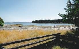 A rocky beach at low tide with people walking along the shoreline and a forested island across the water.