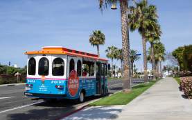 Trolley Transportation