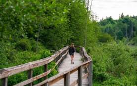 A person walking on a wooden bridge over trees.