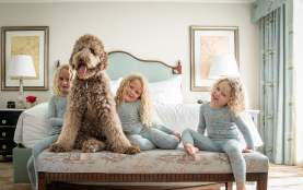 Pampered Pets Program - Windsor Court
