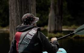 A person kayaking in a drowned forest.