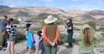 29 Palms Events - Wildflower Discovery Day