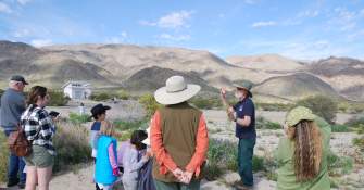 29 Palms Events - Wildflower Discovery Day