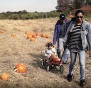 Fall Pumpkin Picking