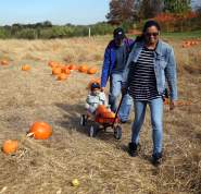 Wilkens Farm high res