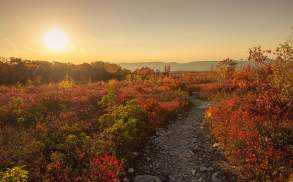 Fall Foliage at Eales Preserve at Moosic Mountain