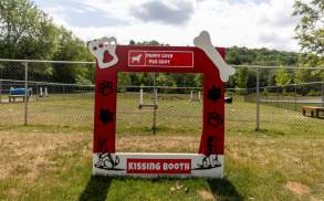 Dog Parks
