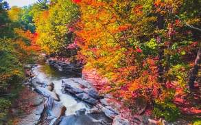 Nay Aug Park - @jacoblevyphoto Instagram