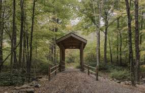 A leaf strewn path in front of a covered bridge on a trail at Ward Pound Ridge Reservation.