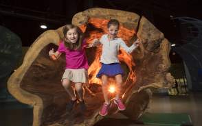 Delaware Children's Museum