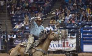 Man in a brown cowboy hat wearing a blue shirt on a brown horse roping a black cow