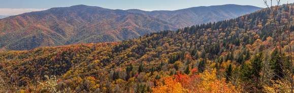 Fall Colors in Gatlinburg and the Smoky Mountains