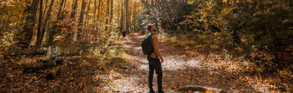 hiking in fall great smoky mountains