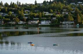 People kayaking on the water.