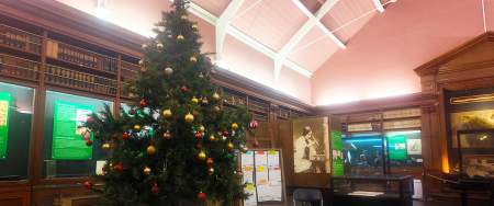 Christmas tree at Swansea Museum
