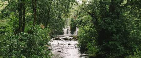 Waterfall