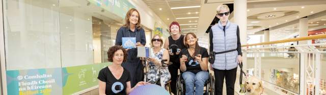 Fleadh Accessibility Hub