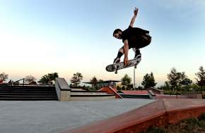 Skateboarder