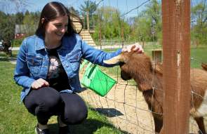 White Clover Farm