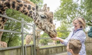 Attractions in Devon