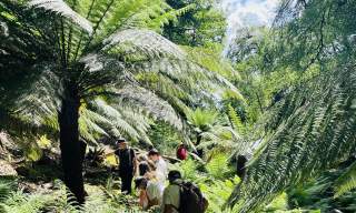 Canonteign Falls Awarded RHS Partner Garden Status