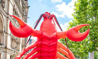 Hull Maritime Summer Festival 5
