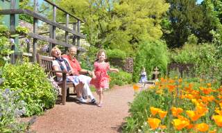 little girl running through an alley in a garden whilst grandparents are watching on from a near bench