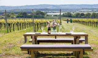A bottle of English sparkling wine and flowers on a picnic bench at Roebuck Estate vineyard, with vines in the distance