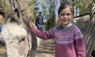Jente klapper et esel på "The Funny Farm"