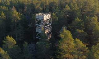 Utsiktstårn i tett skog