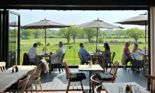 People sitting on a deck overlooking a vineyard