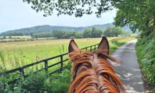 Riding, South Downs National Park