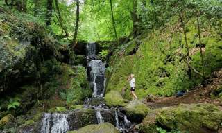 Lydford Gorge