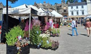 Outdoor market under a bright blue sky. White tents with colourful flowers and plants for sale. People are walking, enjoying a vibrant, sunny day.