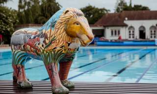 Lions at Large Cheltenham