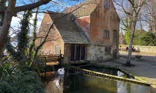 Front view of The Old Mill with swan in the water