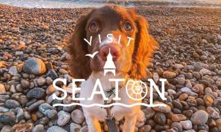 visit seaton dog friendly