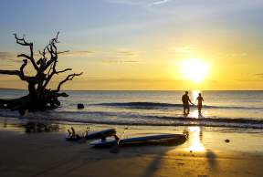 Driftwood Beach on Jekyll Island