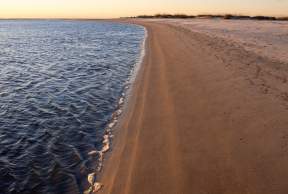 Coast of East Beach on St. Simons Island, Georgia