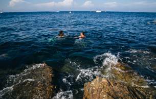 Catalina Island Diving