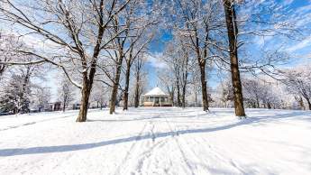 Pavilion In Winter