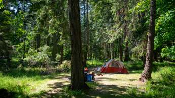 People camping.