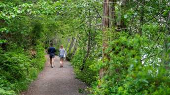 Two people waking on a gravel path through a forest.