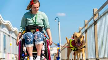 A wheelchair user and their dog on the Grand Pier at Weston-super-Mare near Bristol - credit The Grand Pier