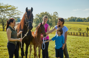 A group of people with two Saddlebred horses at Kismet Farm, one of Shelby County's premier Saddlebred Horse Farms.