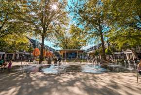 Your Guide to Birkdale Village