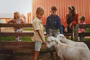 Day at the Farm: Picnic & Play