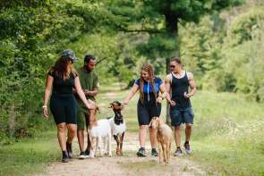 Hiking with goats