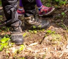 Top Kid-Friendly Hikes in Shenandoah National Park