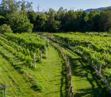 Can’t-Miss Agritourism Experiences